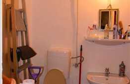 Apartament 1 camera, 30 mp utili, imobil izolat exterior, complet mobilat!