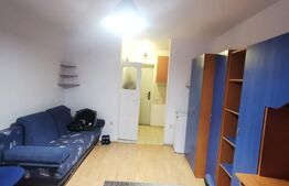 Garsoniera, 25 mp, etaj intermediar, zona străzii Migdalului