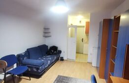 Garsoniera, 25 mp, etaj intermediar, zona străzii Migdalului