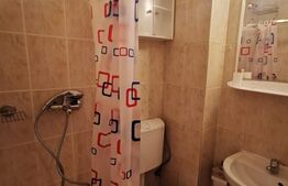 Garsoniera, 25 mp, etaj intermediar, zona străzii Migdalului