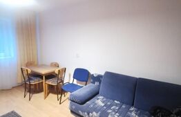 Garsoniera, 25 mp, etaj intermediar, zona străzii Migdalului