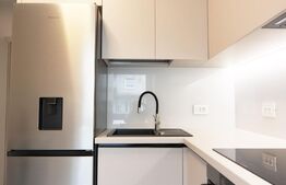 Apartament  2 camere, 50 mp, terasa 40 mp, parcare, zona strazii Louis Pasteur