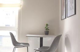 Apartament  2 camere, 50 mp, terasa 40 mp, parcare, zona strazii Louis Pasteur