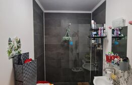 Apartament semidecomandat, mobilat si utilat, 2 camere, lift, zona Terra