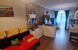 Apartament semidecomandat, mobilat si utilat, 2 camere, lift, zona Terra