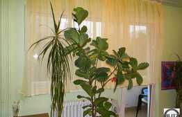 3 camere, decomandat, zona Campului! Imobil reabilitat termic! Boxa depozitare!