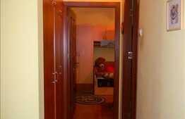 3 camere, decomandat, zona Campului! Imobil reabilitat termic! Boxa depozitare!