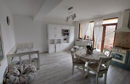 Apartament de vanzare cu  gradina si boxa, 2 camere, mobilat si utilat, zona Campului