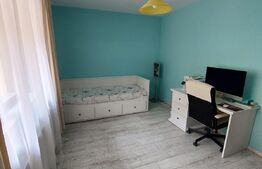 Apartament de vanzare cu  gradina si boxa, 2 camere, mobilat si utilat, zona Campului