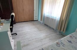 Apartament de vanzare cu  gradina si boxa, 2 camere, mobilat si utilat, zona Campului