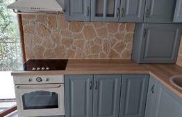 Apartament de vanzare cu  gradina si boxa, 2 camere, mobilat si utilat, zona Campului