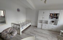 Apartament de vanzare cu  gradina si boxa, 2 camere, mobilat si utilat, zona Campului