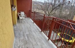 Apartament de vanzare cu  gradina si boxa, 2 camere, mobilat si utilat, zona Campului