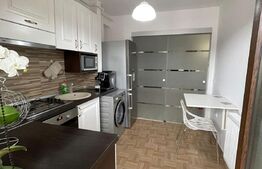 Apartament mobilat si utilat, bucatarie inchisa, constructie premium, parcare, zona Stejarului