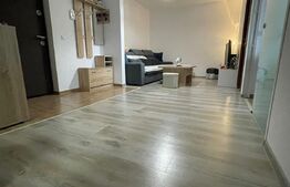 Apartament mobilat si utilat, bucatarie inchisa, constructie premium, parcare, zona Stejarului