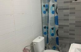 Casa la cheie, 450 mp teren, Copaceni