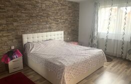 Casa la cheie, 450 mp teren, Copaceni