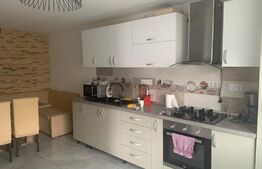 Casa la cheie, 450 mp teren, Copaceni