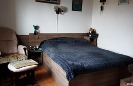 Casa 210 mp utili, curte proprie, 218 mp teren, zona Hasdeu