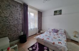 Oportunitate de investitie! Apartament 2 camere, 39mp+ 45mp mansarda, zona stadionului CFR, Gruia