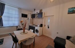 Oportunitate de investitie! Apartament 2 camere, 39mp+ 45mp mansarda, zona stadionului CFR, Gruia