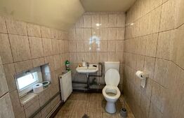 Cladire 70mp, curte 300mp, front stradal ideal showroom