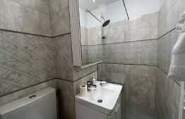 Apartament 2 camere, etaj intermediar, finisat, mobilat, zona Parang 