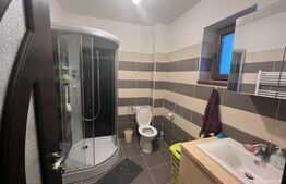 Casa individuala 160mp In Popesti 