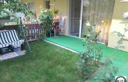 Apartament 1 camera, decomandat, cu gradina de 36 mp, zona Porii!