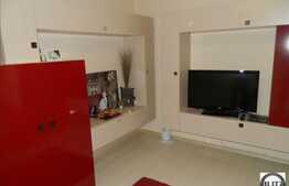 Apartament 1 camera, decomandat, cu gradina de 36 mp, zona Porii!