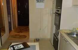 Apartament 1 camera, decomandat, cu gradina de 36 mp, zona Porii!