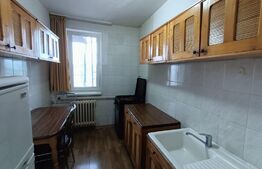 Apartament 2 camere, 45 mp, aleea Rasinari