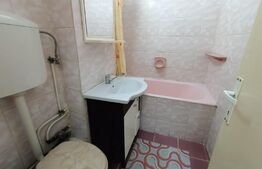 Apartament 2 camere, 45 mp, aleea Rasinari