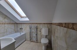 Spatiu birouri, 190 mp, in zona strazii Constantin Brancusi