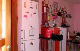 Apartament de vanzare, 2 camere, 45 mp, zona strazii Primaverii!