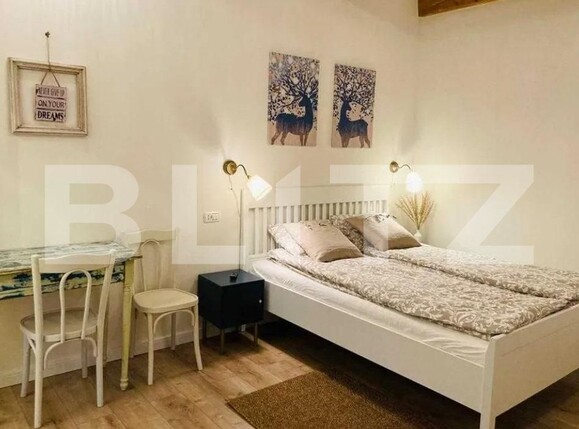 Garsonieră de închiriat Central - 111302AI | BLITZ Cluj-Napoca | Poza1