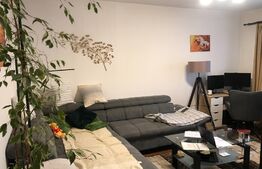 Apartament de 2 camere, 52 mp, decomandat, zona Brico Depot