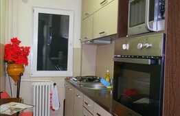 Apartament de vanzare, 2 camere, etaj intermediar, boxa, parcare, zona Peana!