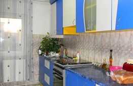 Apartament de vanzare, etaj intermediar, garaj, zona strazii Tasnad!