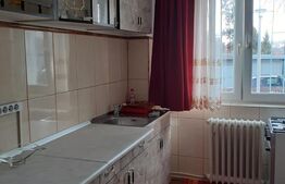 Apartament cu 2 camere, 50 mp, zona strazii Constantin Brancusi