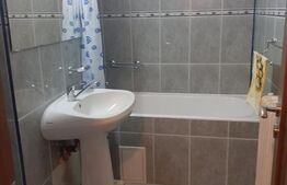 Apartament cu 2 camere, 50 mp, zona strazii Constantin Brancusi