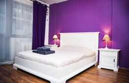 Apartament cu 2 camere, 56mp, pet friendly, zona strazii Romul Ladea