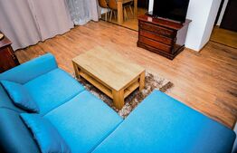 Apartament cu 2 camere, 56mp, pet friendly, zona strazii Romul Ladea