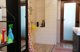 Casa veche cu teren de 2900 mp, Bontida 