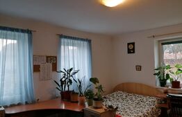 Casa veche cu teren de 2900 mp, Bontida 