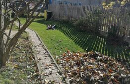 Casa veche cu teren de 2900 mp, Bontida 