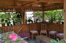 Casa veche cu teren de 2900 mp, Bontida 