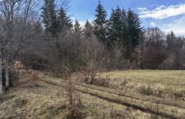 Teren extravilan 773 mp, zona Gilau !