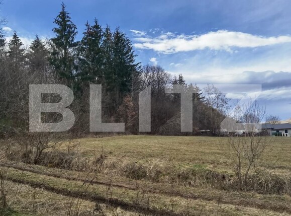 Teren de vânzare Gilău - 111525TV | BLITZ Cluj-Napoca | Poza2
