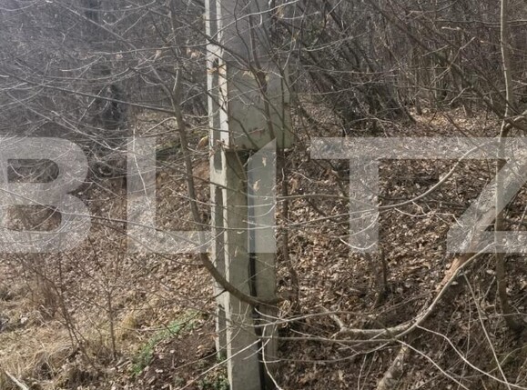 Teren de vânzare Gilău - 111525TV | BLITZ Cluj-Napoca | Poza3